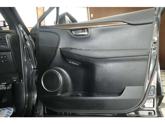 レクサス ＮＸ３００ ３００ ブロンズ エディション ４ＷＤ R2年 (東北) 99