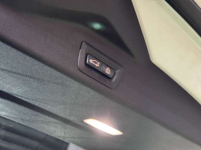 ＢＭＷ Ｘ５ Ｘドライブ ３５Ｄ Ｍスポーツ ４ＷＤ R1年 () 99