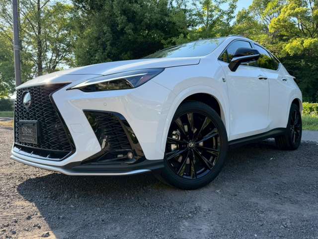 レクサス ＮＸ３５０ｈ Ｆスポーツ R5年 (近畿) 99