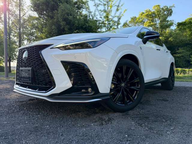 レクサス ＮＸ３５０ｈ Ｆスポーツ R5年 (近畿) 99