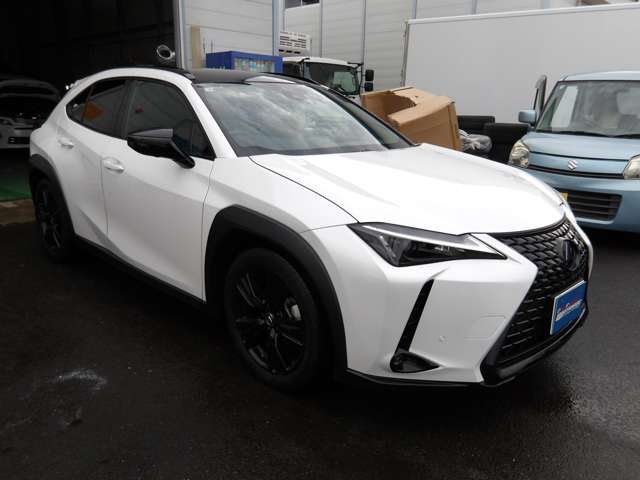 レクサス ＵＸ２５０ｈ アーバンエレガンス R3年 (東北) 99