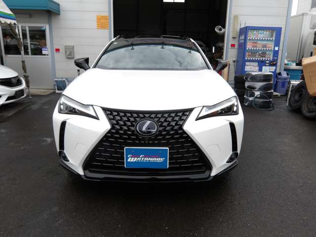 レクサス ＵＸ２５０ｈ アーバンエレガンス R3年 (東北) 99