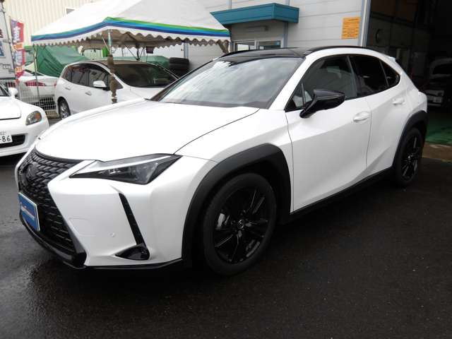 レクサス ＵＸ２５０ｈ アーバンエレガンス R3年 (東北) 99