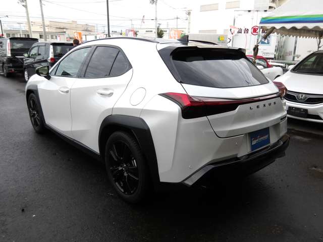 レクサス ＵＸ２５０ｈ アーバンエレガンス R3年 (東北) 99