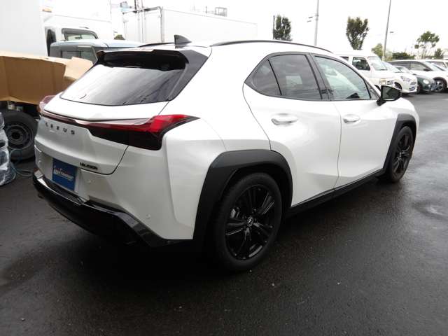 レクサス ＵＸ２５０ｈ アーバンエレガンス R3年 (東北) 99