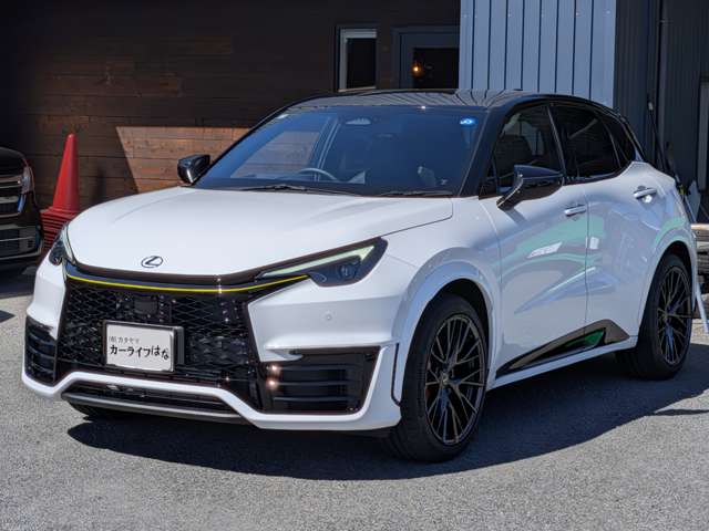 レクサス ＬＢＸ モリゾウ ＲＲ ４ＷＤ R7年 (中国) 99