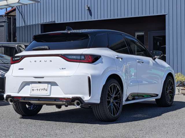 レクサス ＬＢＸ モリゾウ ＲＲ ４ＷＤ R7年 (中国) 99