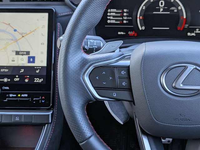 レクサス ＬＢＸ モリゾウ ＲＲ ４ＷＤ R7年 (中国) 99