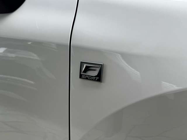 レクサス ＲＸ３５０ ３５０ Ｆスポーツ ４ＷＤ R6年 () 99