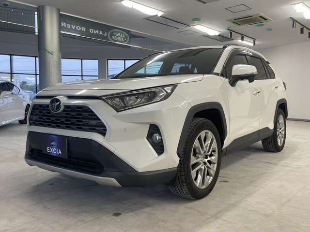 トヨタ ＲＡＶ４ ２．０ Ｇ Ｚパッケージ ４ＷＤ R1年 (関東) 99