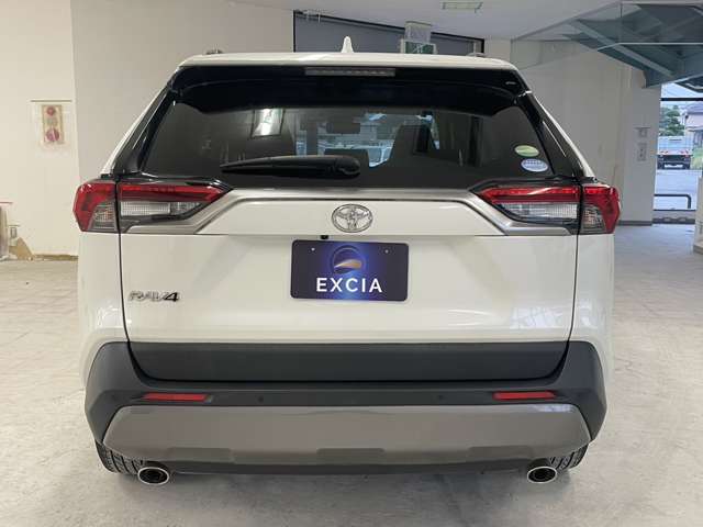 トヨタ ＲＡＶ４ ２．０ Ｇ Ｚパッケージ ４ＷＤ R1年 (関東) 99