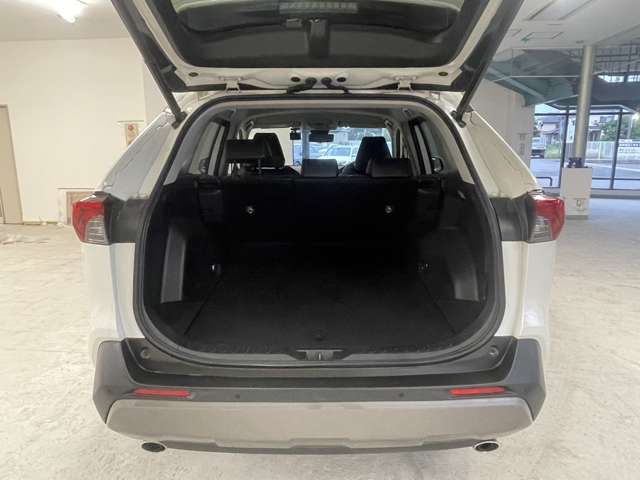 トヨタ ＲＡＶ４ ２．０ Ｇ Ｚパッケージ ４ＷＤ R1年 (関東) 99