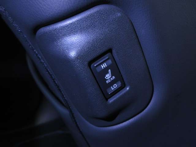 日産 リーフ ｅ＋　Ｇ R1年 (関東) 99