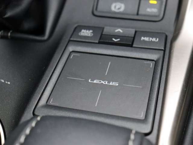 レクサス ＮＸ２００ｔ ２００Ｔ ４ＷＤ H28年 (関東) 99
