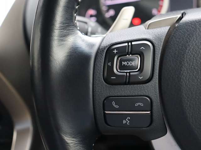 レクサス ＮＸ２００ｔ ２００Ｔ ４ＷＤ H28年 (関東) 99