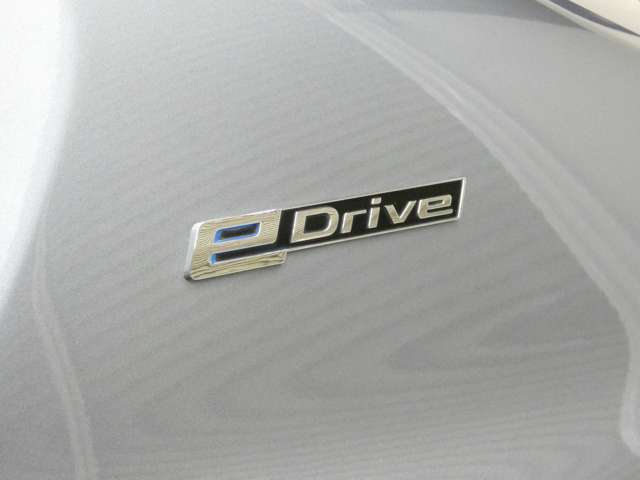 ＢＭＷ ５シリーズ ５３０Ｅ Ｉパフォーマンス Ｍスポーツ H29年 () 99