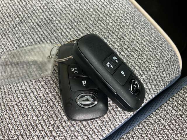 ダイハツ ムーヴ　キャンバス ６６０ ストライプス Ｇターボ ４ＷＤ R7年 (関東) 99
