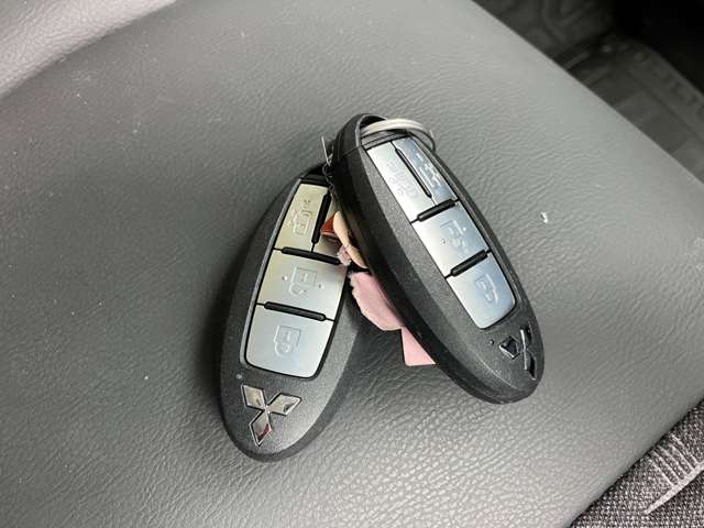 三菱 デリカ　ミニ ６６０ Ｔ プレミアム リミテッド エディション ４ＷＤ R7年 (関東) 99