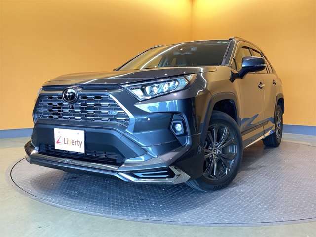 トヨタ ＲＡＶ４ ２．０ Ｇ ４ＷＤ R5年 (近畿) 99