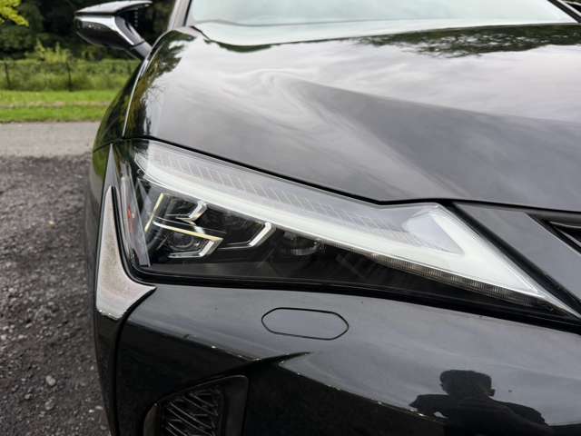 レクサス ＵＸ２５０ｈ Ｆスポーツ R2年 (近畿) 99