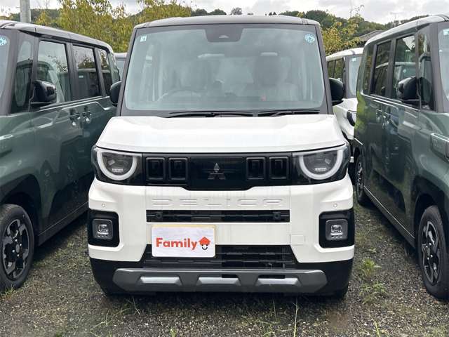 三菱 デリカ　ミニ ６６０ Ｔ プレミアム デリマル パッケージ R8年 (東海) 99