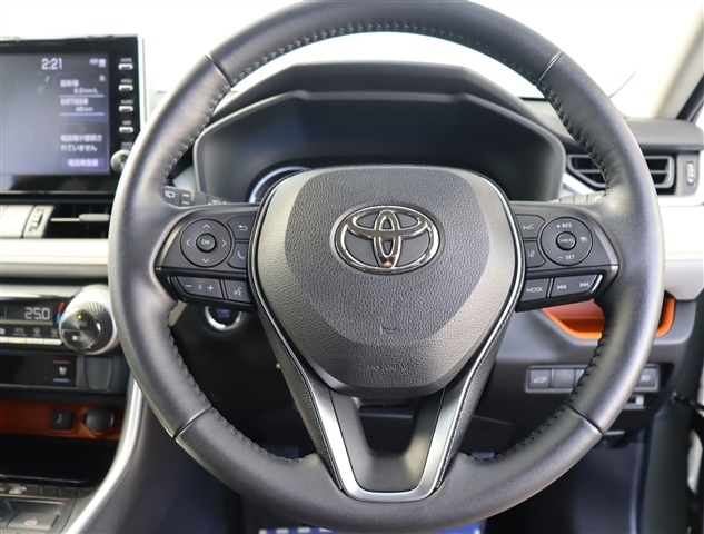 トヨタ ＲＡＶ４ ２．０ アドベンチャー ４ＷＤ R3年 () 99