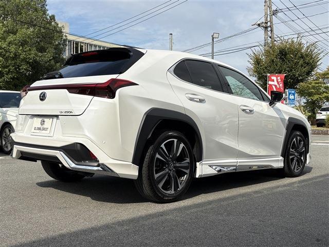 レクサス ＵＸ２５０ｈ バージョンＣ R5年 (九州・沖縄) 99