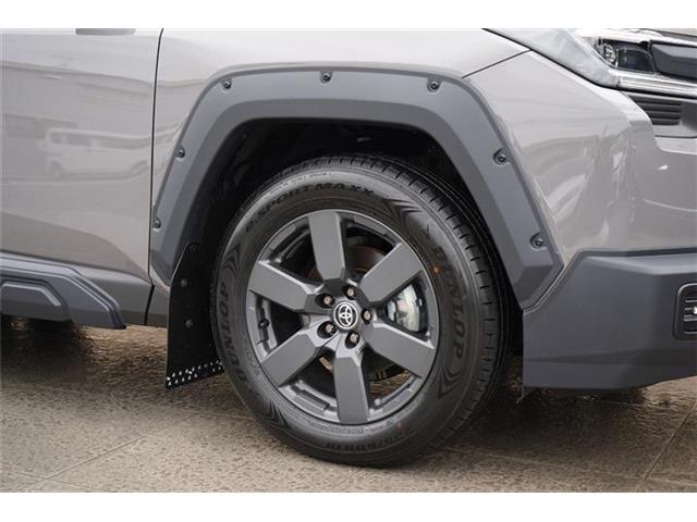 トヨタ ＲＡＶ４ ２．５ アドベンチャー Ｅ－ＦＯＵＲ ４ＷＤ R8年 (中国) 99