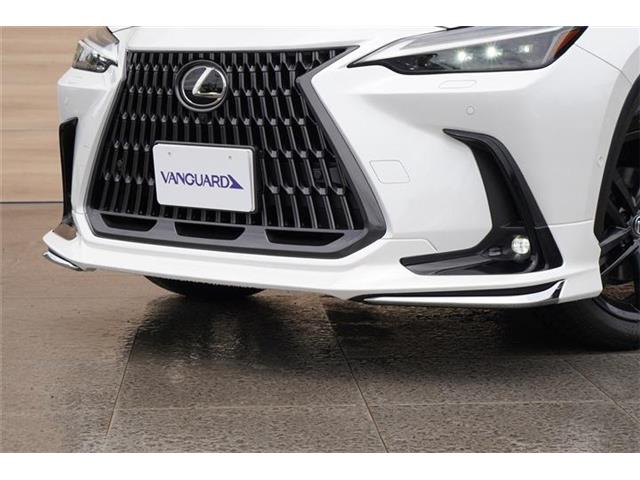 レクサス ＮＸ３５０ｈ バージョンＬ R5年 (中国) 99