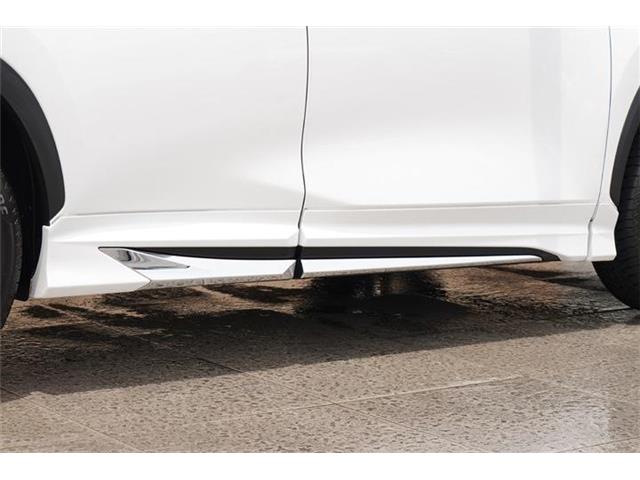 レクサス ＮＸ３５０ｈ バージョンＬ R5年 (中国) 99