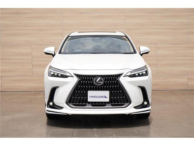 レクサス ＮＸ３５０ｈ バージョンＬ R5年 (中国) 99