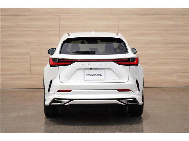 レクサス ＮＸ３５０ｈ バージョンＬ R5年 (中国) 99
