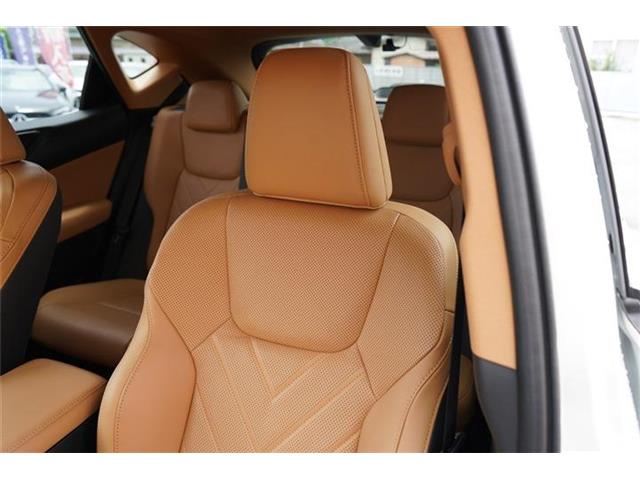 レクサス ＮＸ３５０ｈ バージョンＬ R5年 (中国) 99