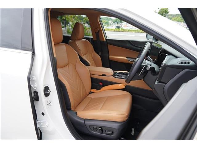 レクサス ＮＸ３５０ｈ バージョンＬ R5年 (中国) 99