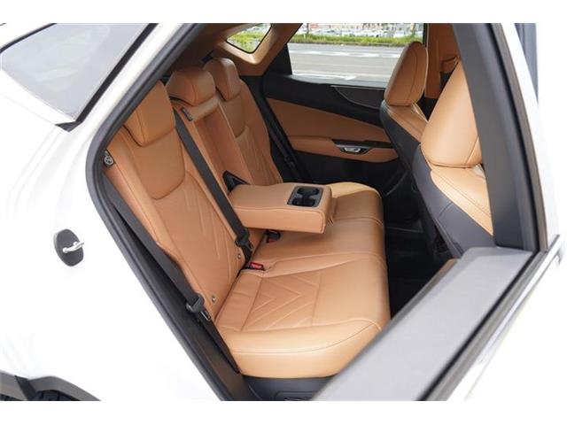 レクサス ＮＸ３５０ｈ バージョンＬ R5年 (中国) 99