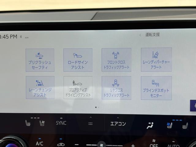 レクサス ＮＸ３５０ｈ バージョンＬ R5年 (中国) 99