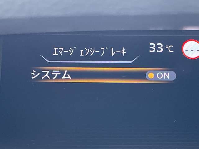 日産 セレナ ２．０ ＸＶ エアロ R4年 () 99
