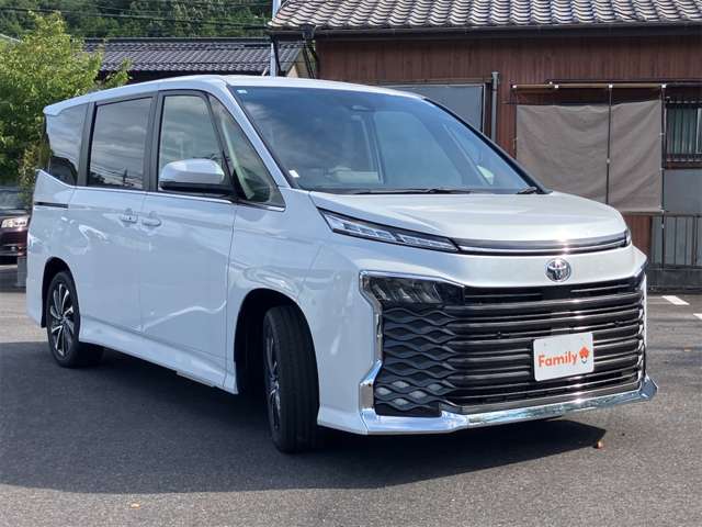 トヨタ ヴォクシー ２．０ Ｓ－Ｚ R8年 (東海) 99