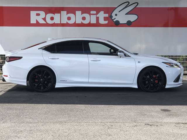 レクサス ＥＳ３００ｈ Ｆスポーツ R3年 (近畿) 99