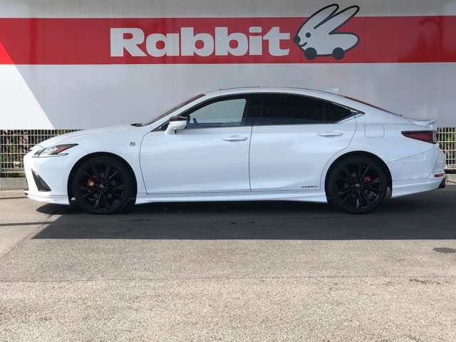 レクサス ＥＳ３００ｈ Ｆスポーツ R3年 (近畿) 99