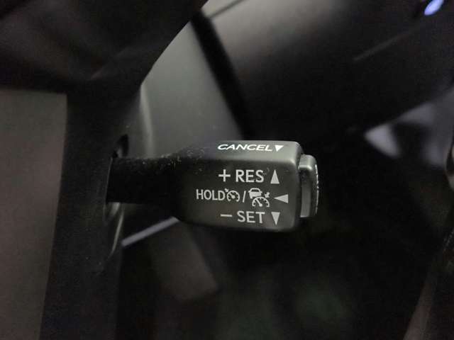 レクサス ＲＸ３００ バージョンＬ R2年 () 99
