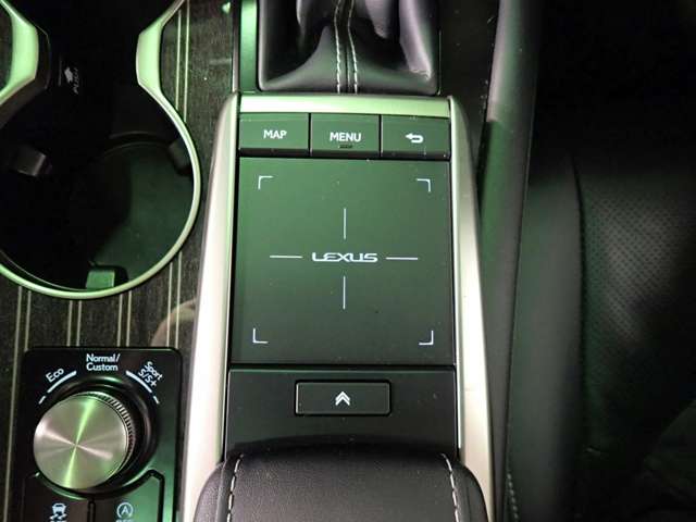 レクサス ＲＸ３００ バージョンＬ R2年 () 99