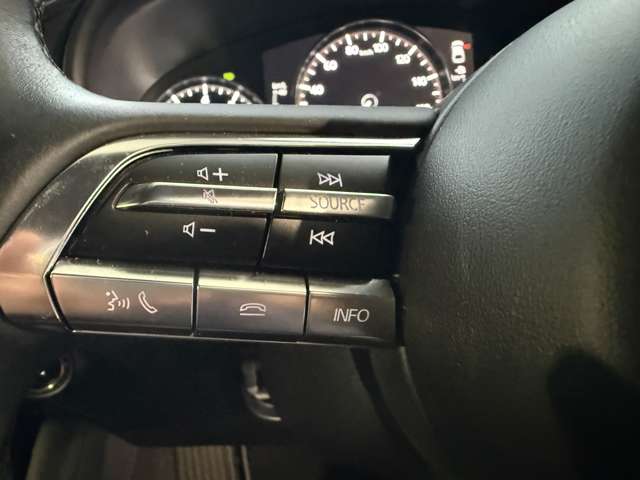 マツダ ＭＡＺＤＡ３　ファストバック ２．０ ２０Ｓ バーガンディ セレクション R4年 (関東) 99