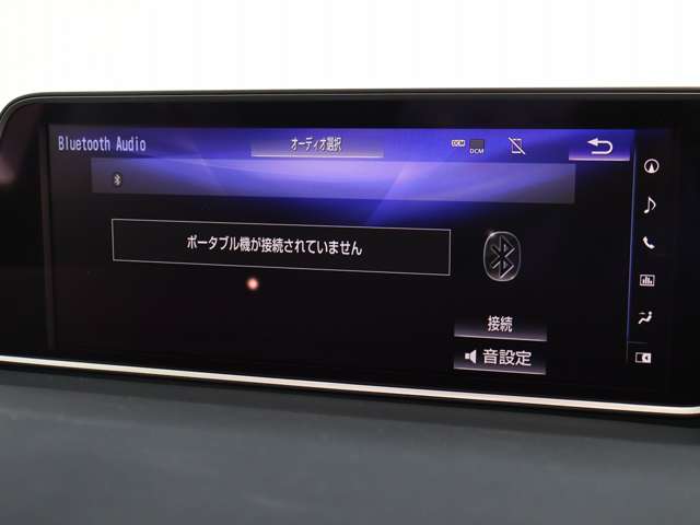レクサス ＲＸ３００ ３００ R1年 () 99