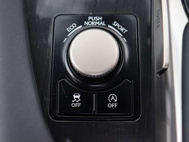 レクサス ＲＸ３００ ３００ R1年 () 99