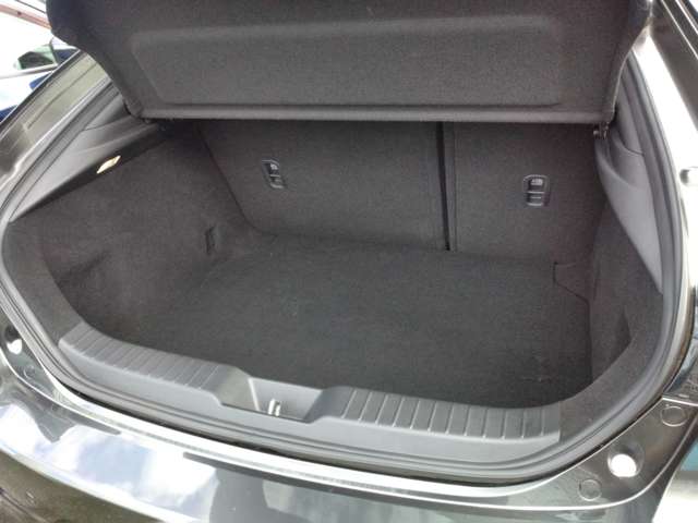 マツダ ＭＡＺＤＡ３　ファストバック ２．０ ２０Ｓ Ｌパッケージ R2年 (関東) 99