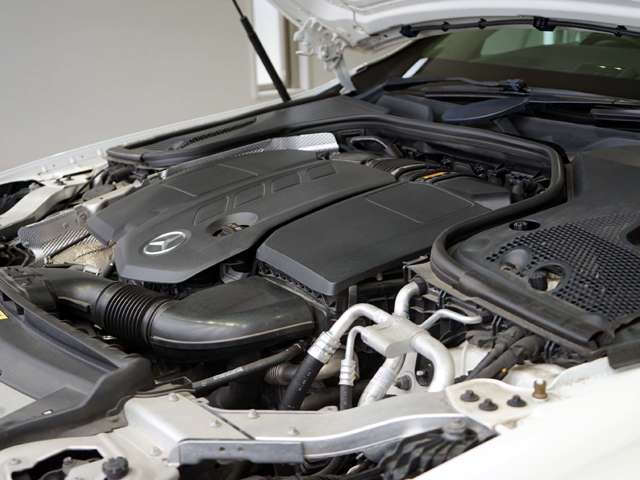 メルセデスベンツ Ｅクラスオールテレイン Ｅ２２０Ｄ ４マチック ディーゼルターボ ４ＷＤ H30年 (関東) 99