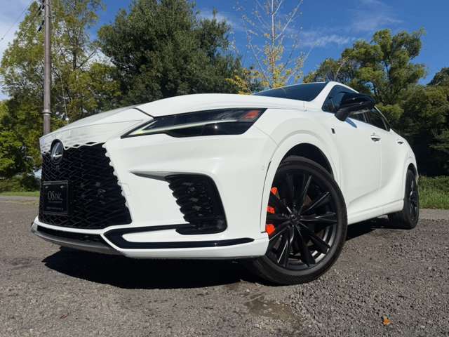 レクサス ＲＸ５００ｈ ５００Ｈ Ｆスポーツ パフォーマンス ４ＷＤ R5年 () 99