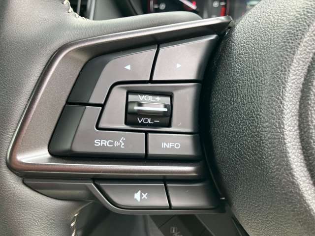 スバル フォレスター １．８ ＳＴＩ スポーツ ブラック インテリア セレクション ４ＷＤ R6年 (関東) 99