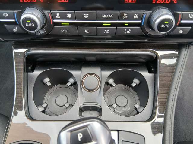 ＢＭＷ ５シリーズ ５２３ｉ　ラグジュアリー H27年 (近畿) 99